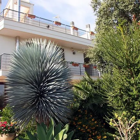 Il Sughero Oda ve Kahvaltı 4*